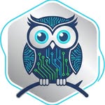 Acceleration Systems owl logo